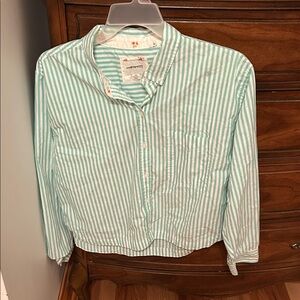 American Eagle Outfitters Mint Green and White Striped Button-Up Blouse